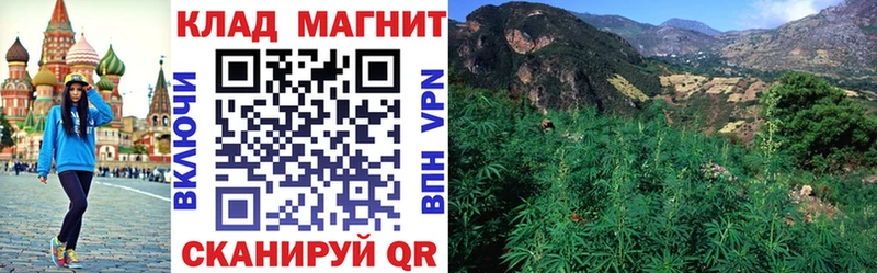 Где можно купить наркотики Жиздра АМФЕТАМИН  Канабис  Cocaine  Меф мяу мяу  ГАШИШ 