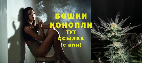 трава Верея