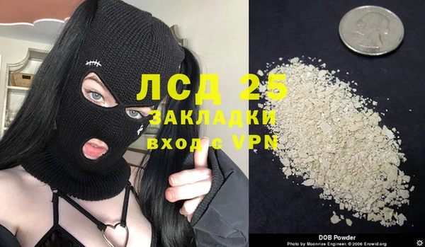 молекула духа Бородино