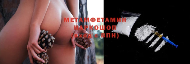ПСИЛОЦИБИНОВЫЕ ГРИБЫ Строитель