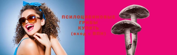 дживик Володарск