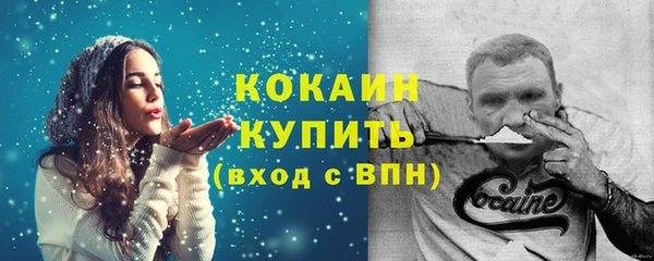 молекула духа Бородино