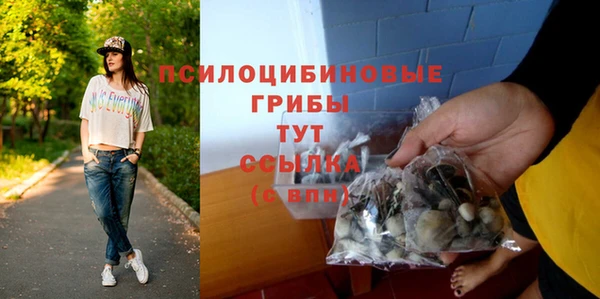 a pvp Богородицк