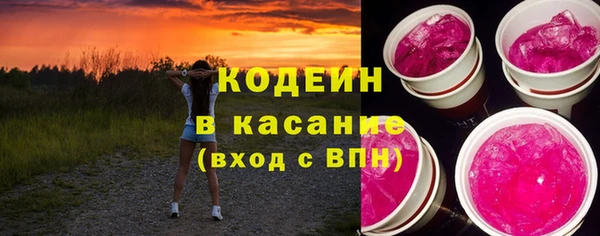 молекула духа Бородино