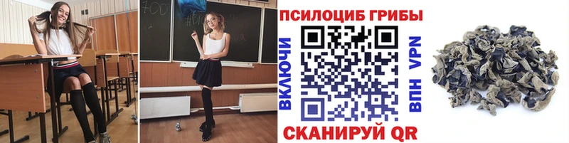 shop формула Жиздра Псилоцибиновые грибы ЛСД хочу